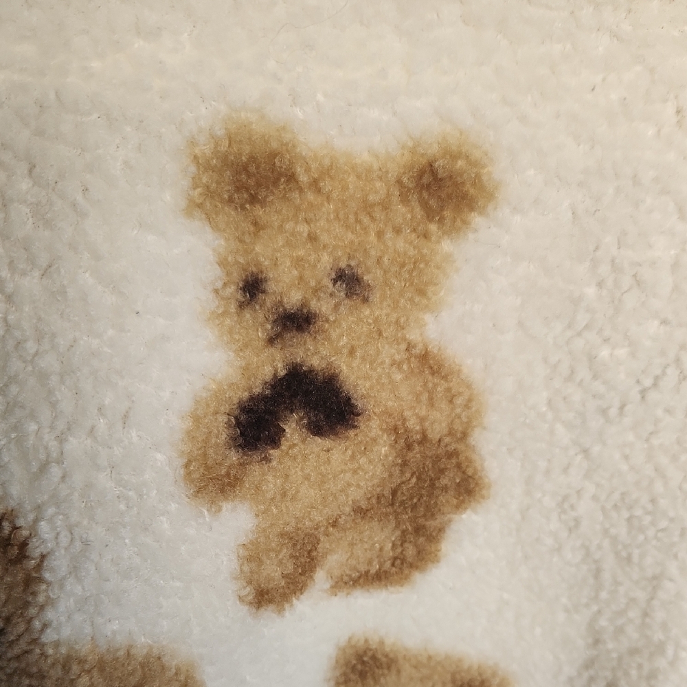 Cozy Teddy Bear Print Hoodie XXL - Picture 2 of 7